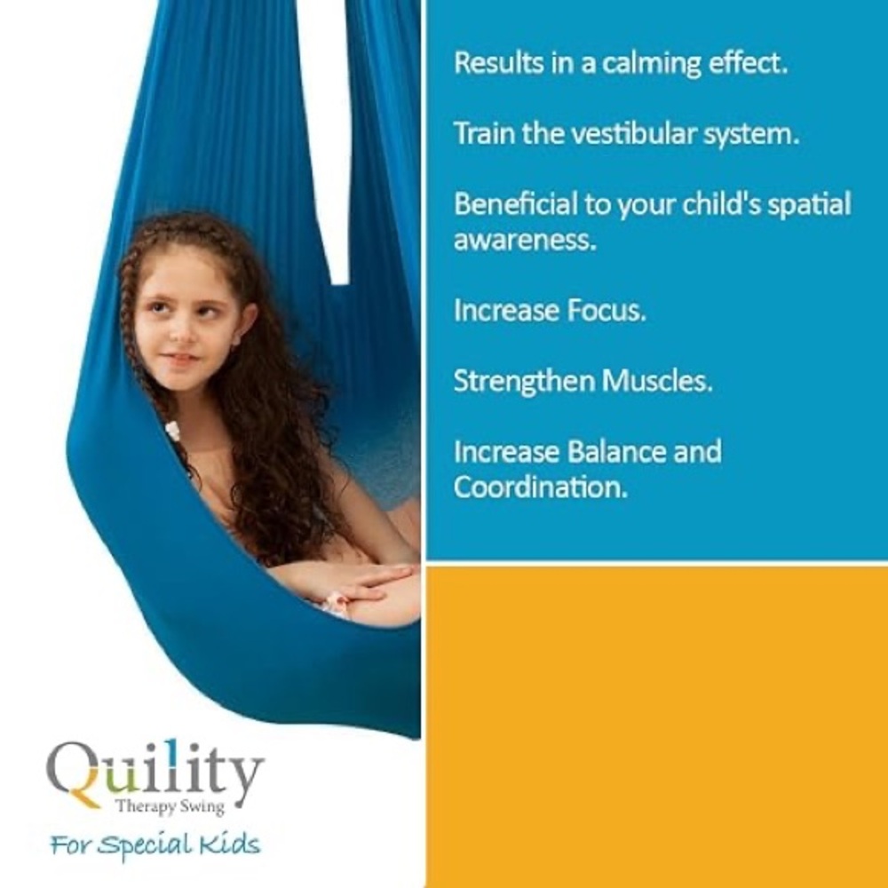 COPY - Quility Sensory Hammock Swing NWOT